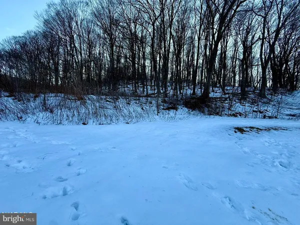 a view of backyard with green space
