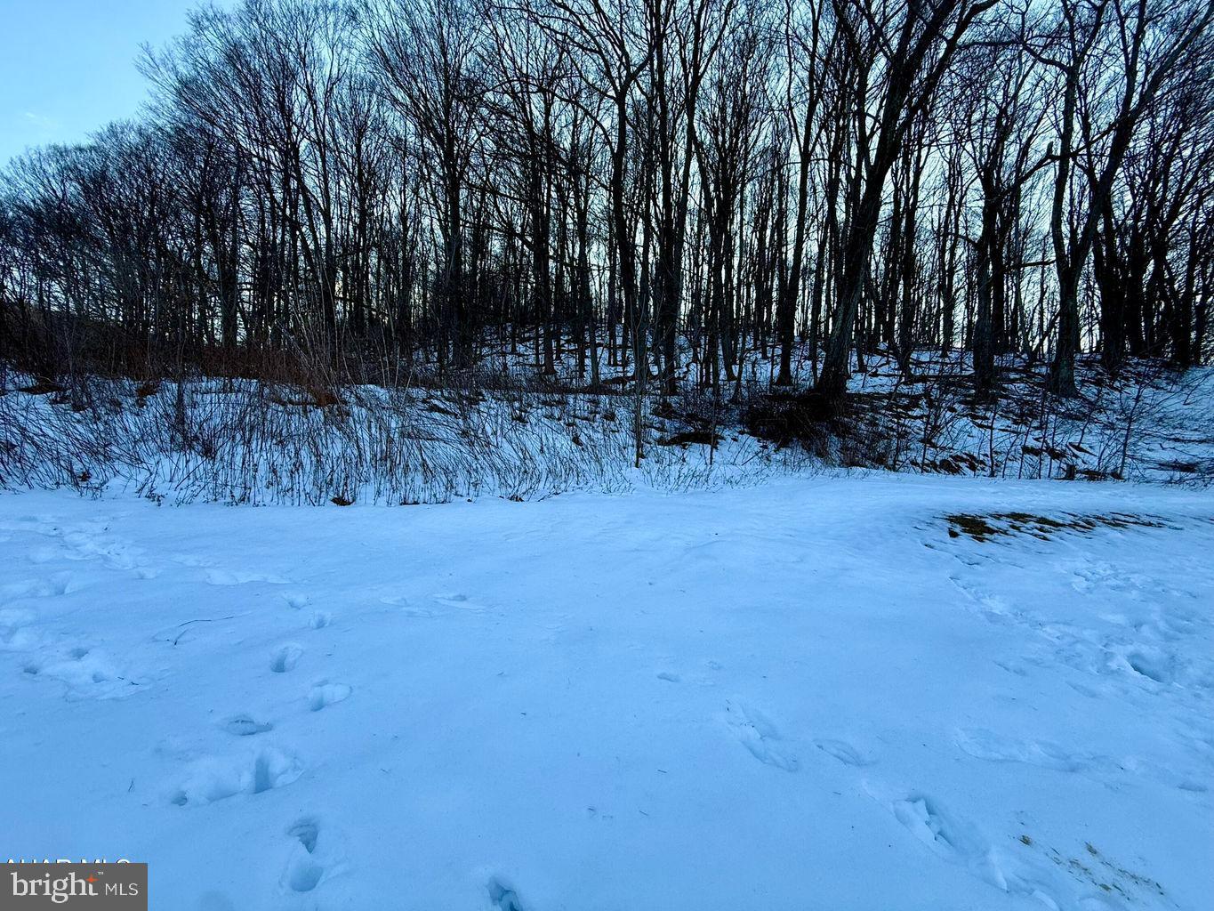 124 Reimer Lane Duncansville, PA 16635 - Photo 24 of 37