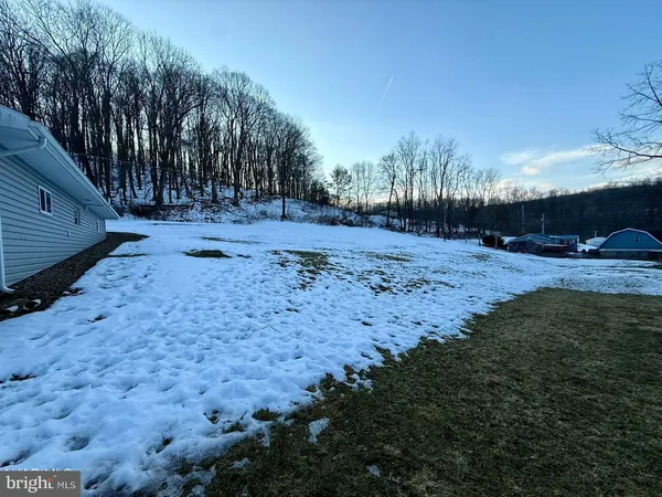 a view of a yard with trees