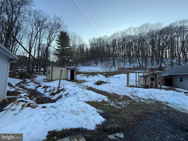 a view of a backyard with large trees