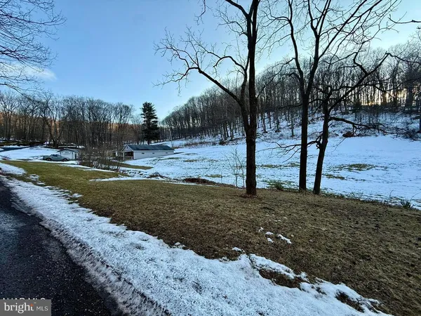 a view of a yard with trees