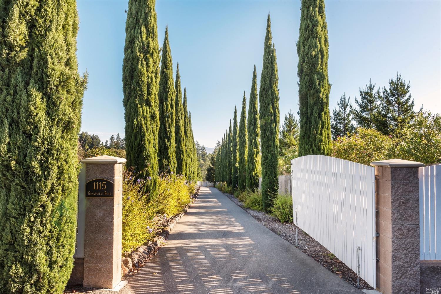 a view of a street with palm trees