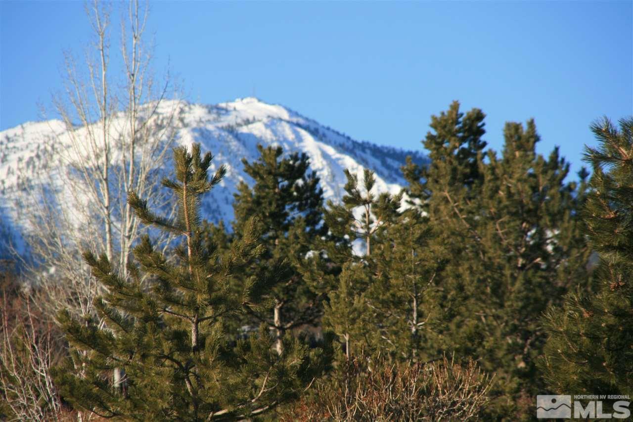 5775 Flowering Sage Trail Reno, NV 89511 - Photo 14 of 25 Photo 14