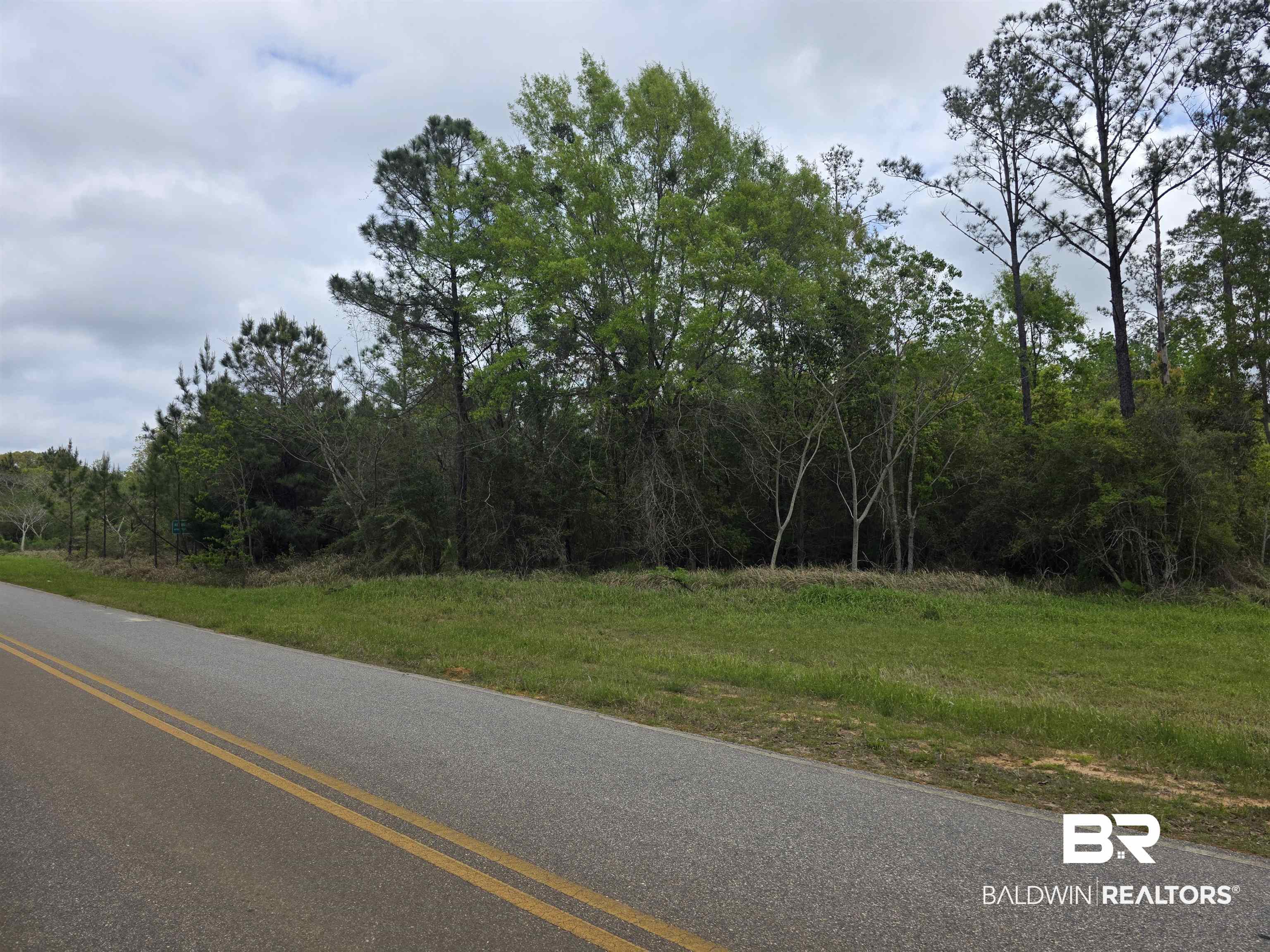 11631 Red Hill Rd Extension Bay Minette, AL 36507 - Photo 3 of 18 View of asphalt road