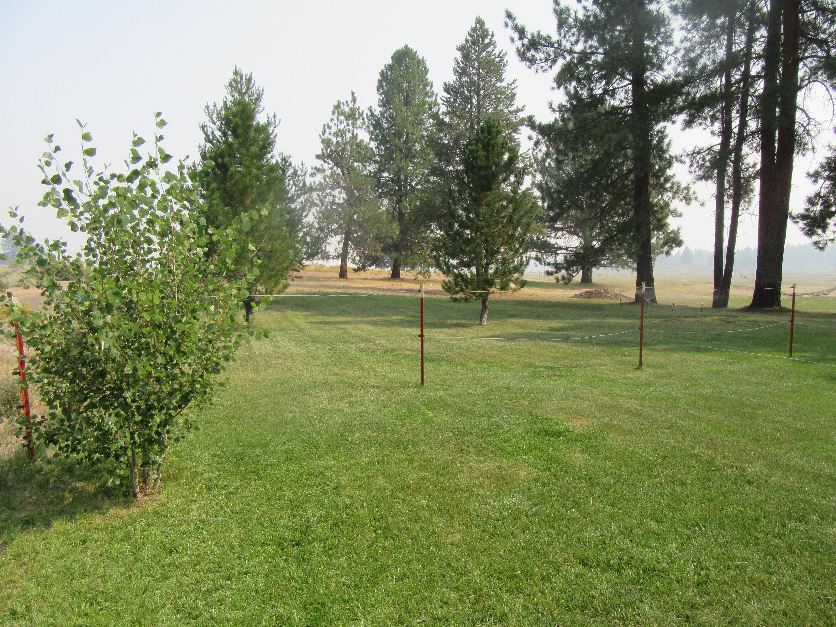37187 Rollingwood Road Chiloquin, OR 97624 - Photo 26 of 33 Lawn 1