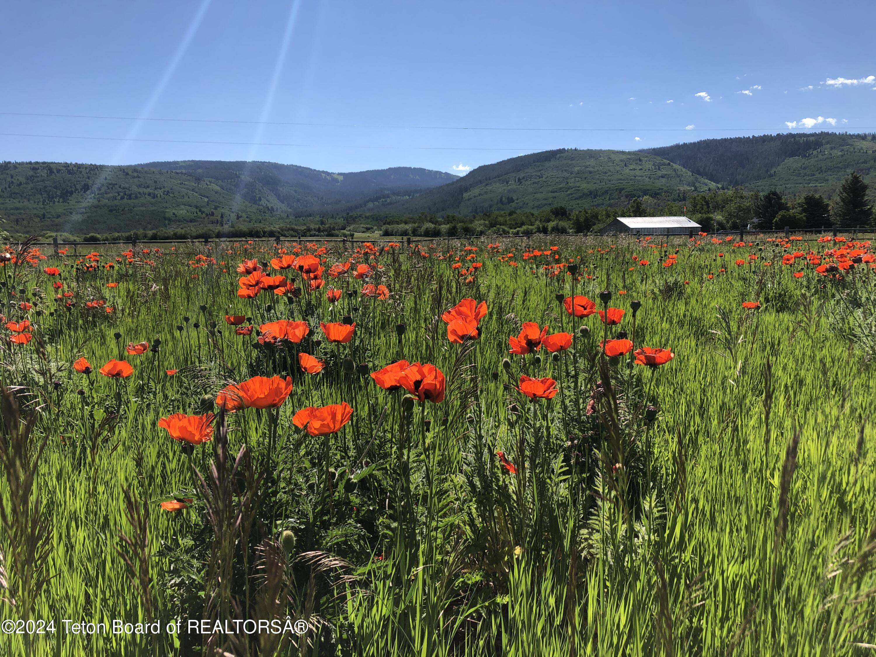 1745 Crooked Creek Road Alta, WY 83414 - Photo 2 of 25 IMG_3235-1