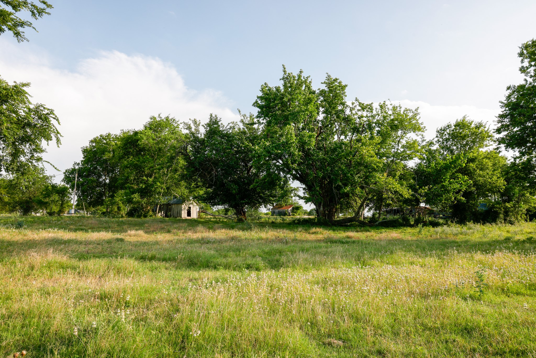 1504 Highway 237 Burton, TX 77835 - Photo 11 of 15 a view of a golf course