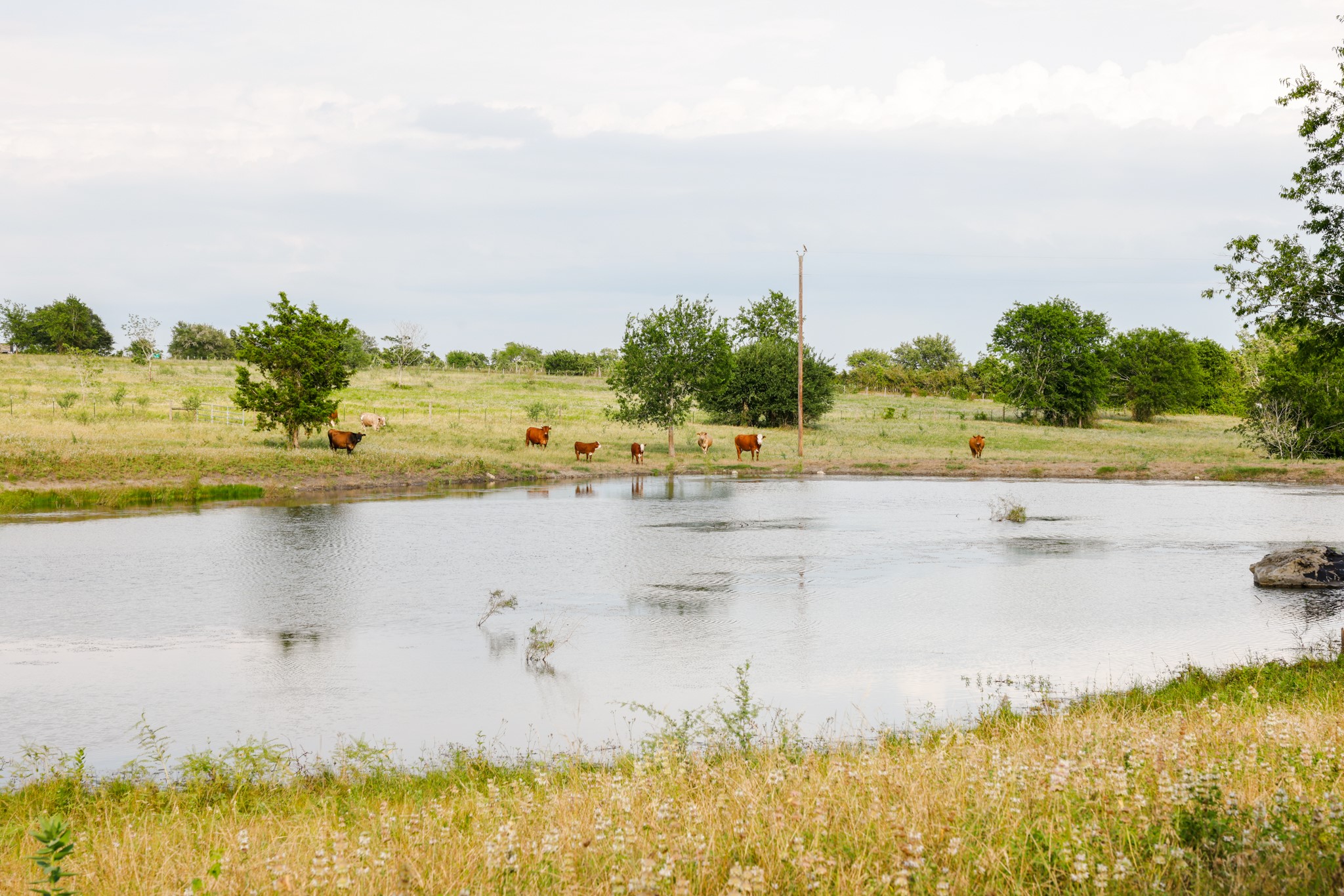 1504 Highway 237 Burton, TX 77835 - Photo 13 of 15 a view of a lake with beach and houses