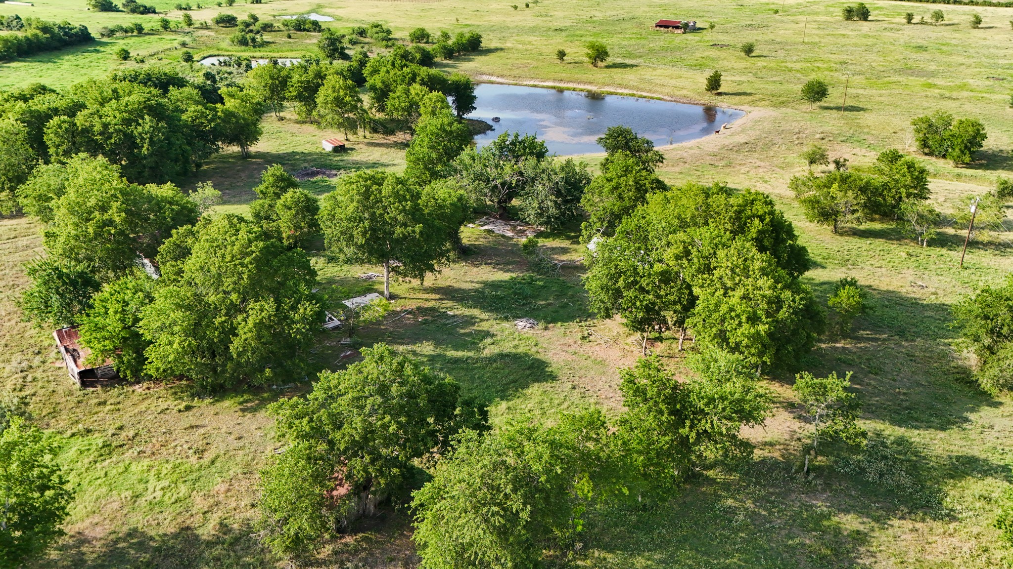 1504 Highway 237 Burton, TX 77835 - Photo 2 of 15 a view of a garden with a building