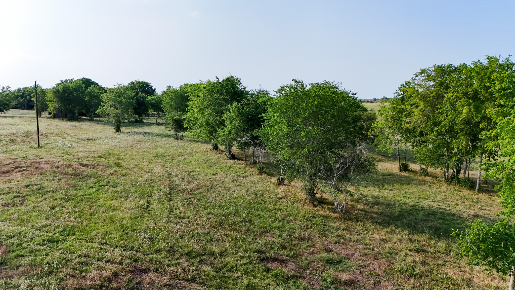 1504 Highway 237 Burton, TX 77835 - Photo 4 of 15 a view of a green field with lots of bushes