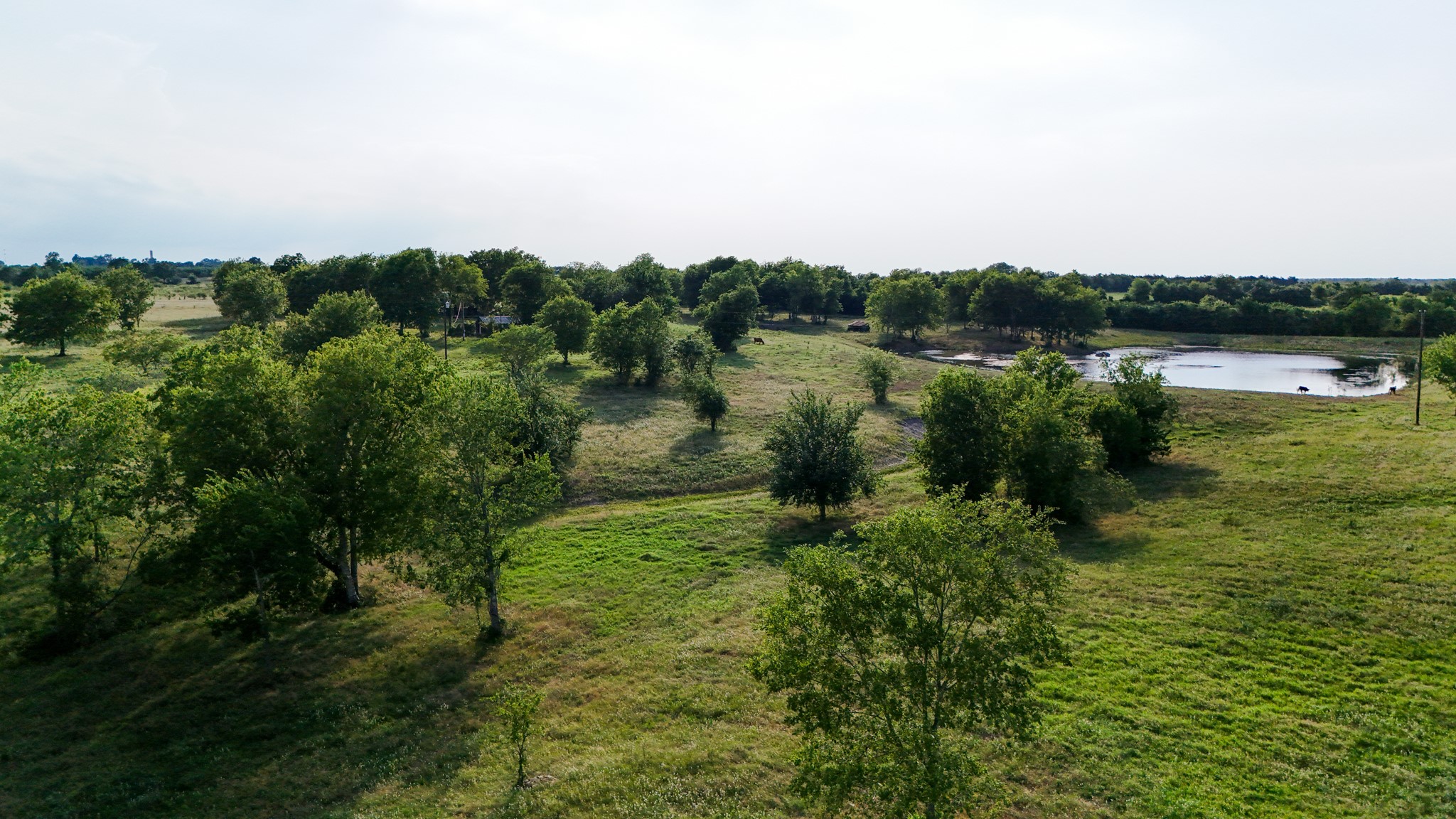 1504 Highway 237 Burton, TX 77835 - Photo 5 of 15 a view of lake with green space