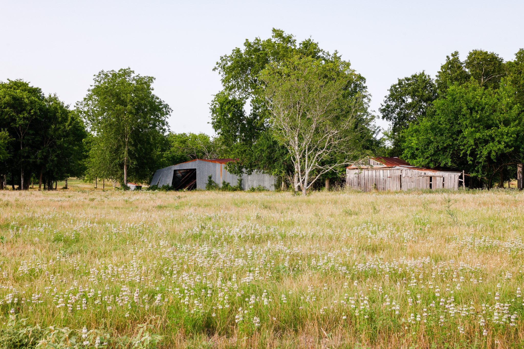 1504 Highway 237 Burton, TX 77835 - Photo 6 of 15