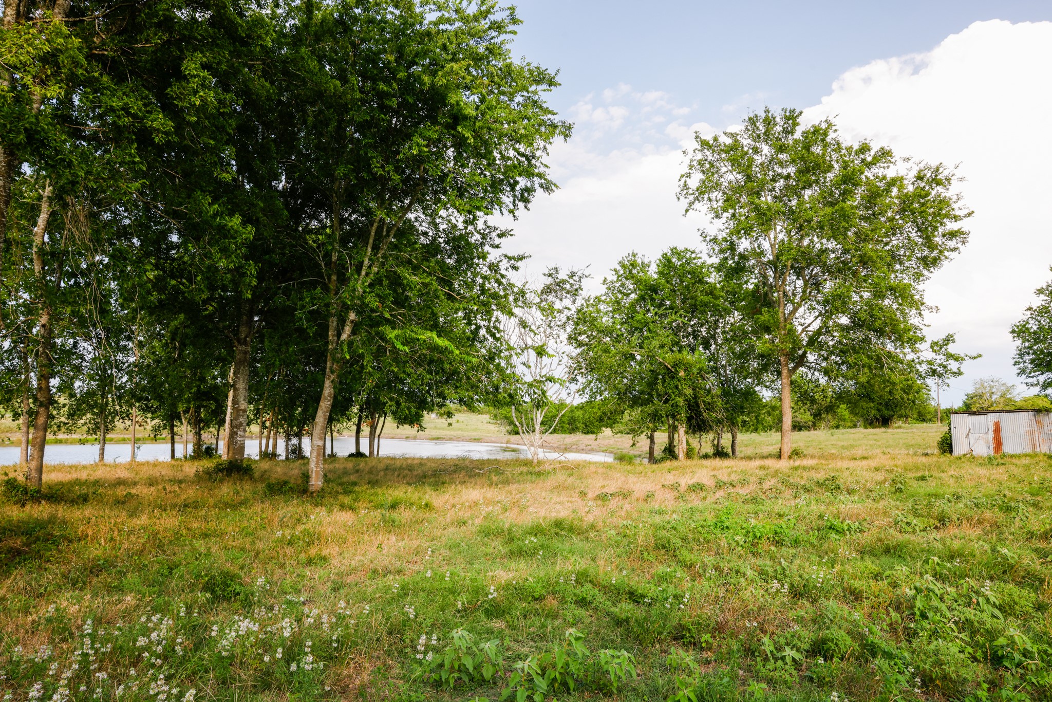 1504 Highway 237 Burton, TX 77835 - Photo 7 of 15 a view of yard with green space