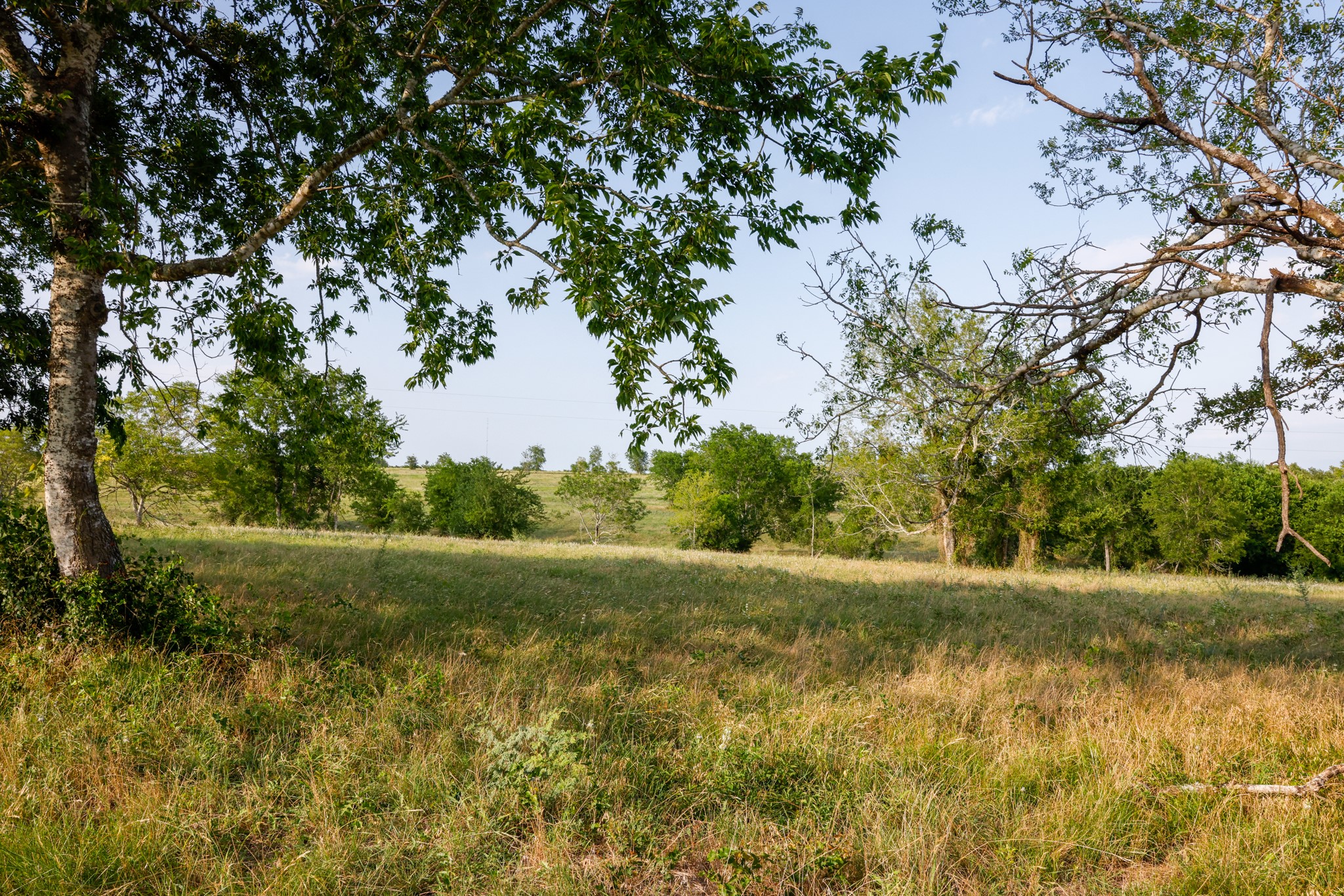 1504 Highway 237 Burton, TX 77835 - Photo 9 of 15 a view of outdoor space and yard