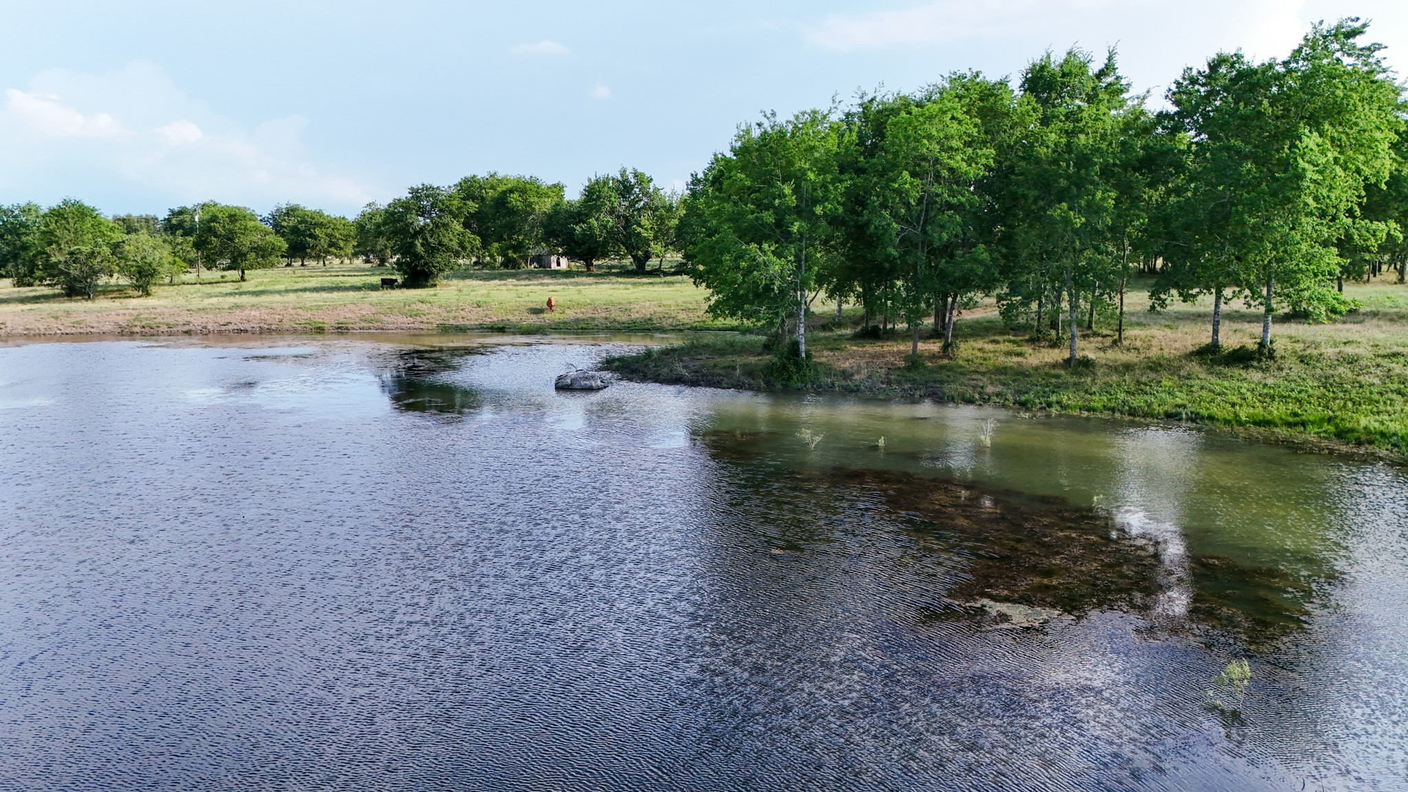 1504 Highway 237 Burton, TX 77835 - Photo 10 of 15 a view of a lake with a yard and trees