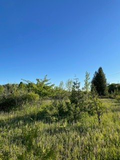 Tbd Hillcrest Road Sister Bay, WI 54234 - Photo 10 of 10
