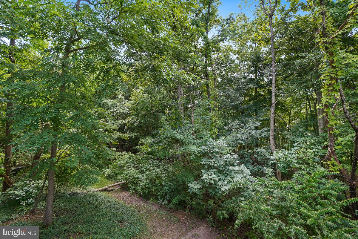 11919 Moss Point Lane Reston, VA 20194 - Photo 46 of 58