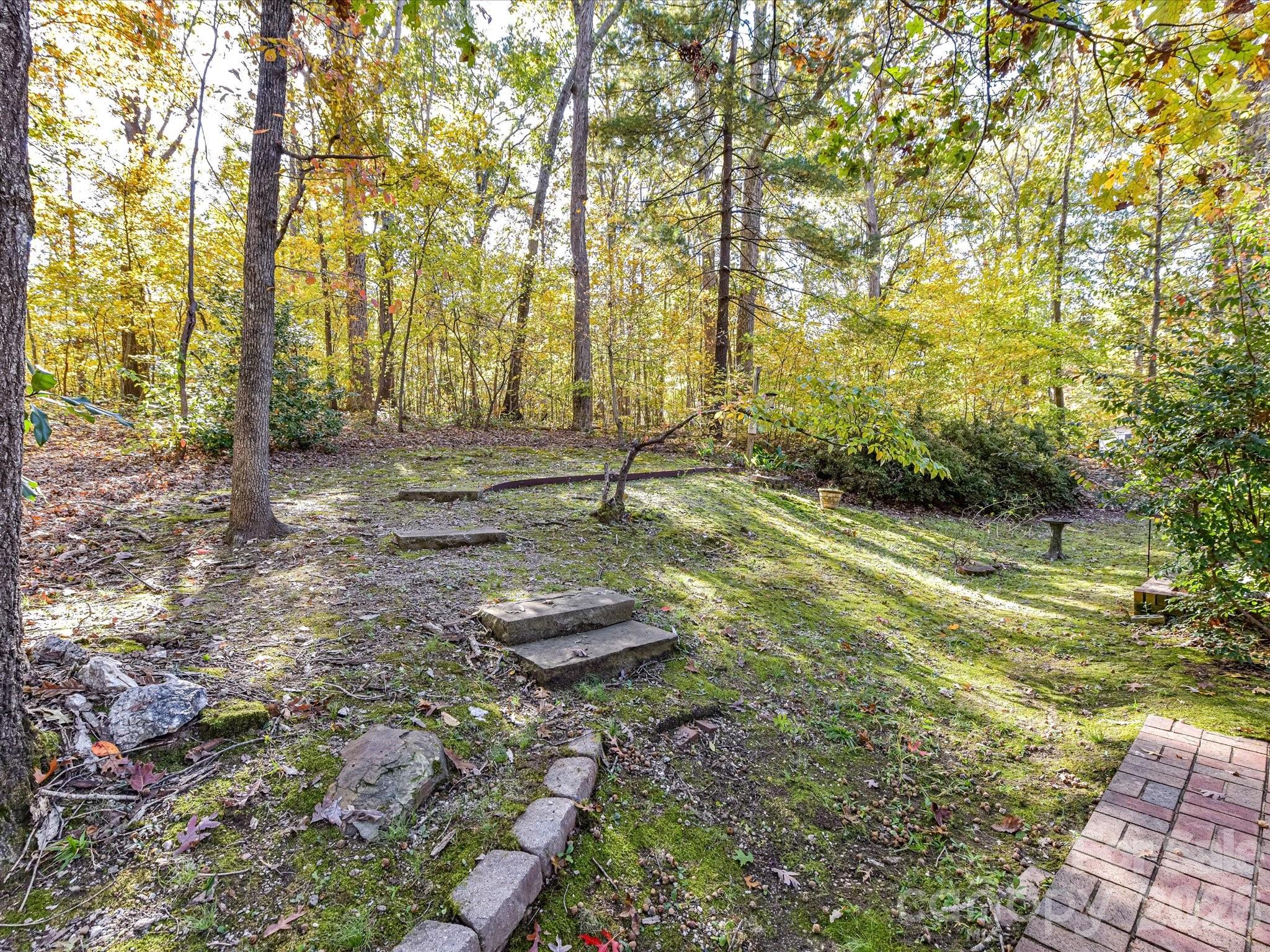 127 Todd Circle Wingate, NC 28174 - Photo 32 of 36 a view of yard with trees
