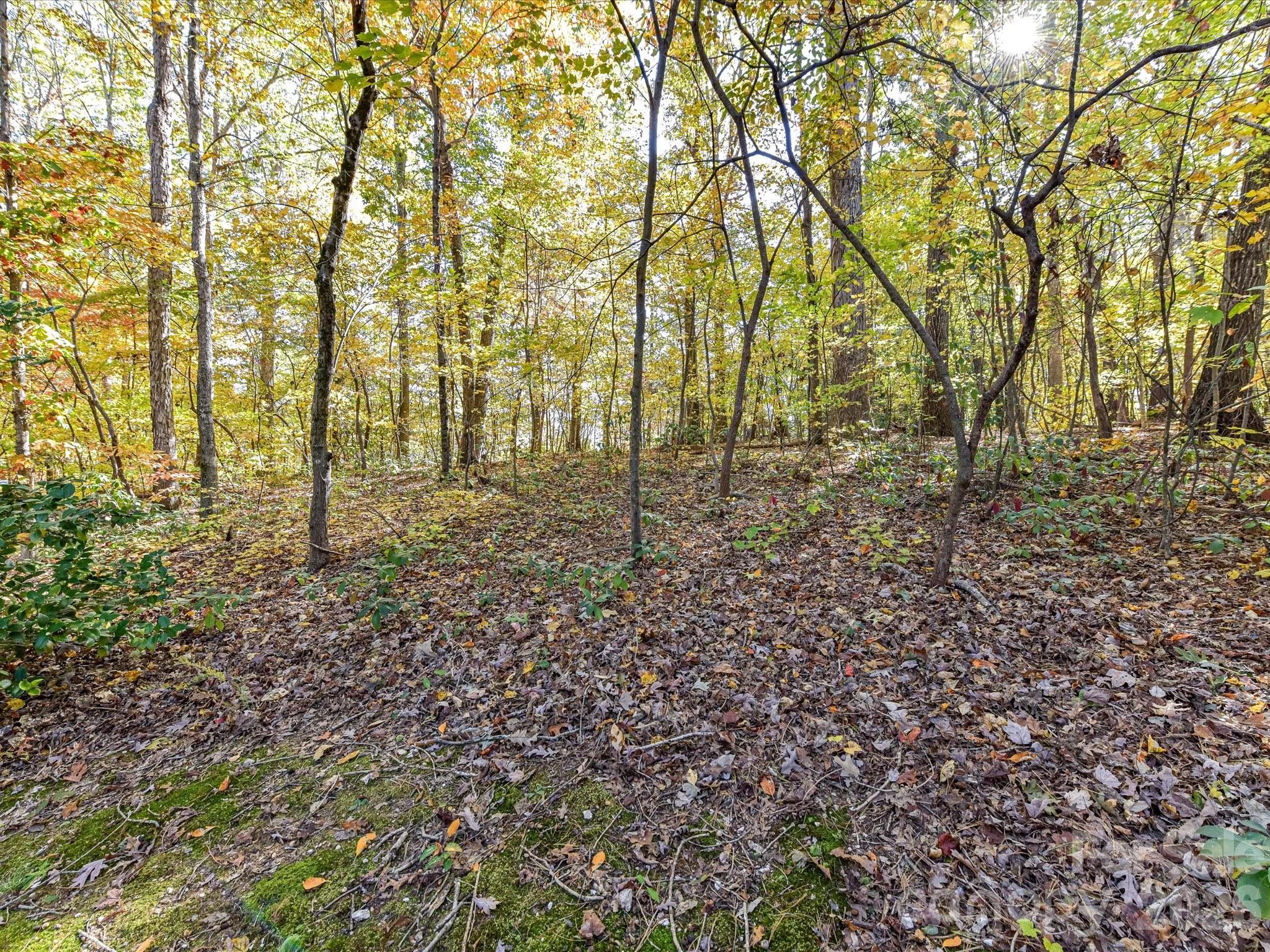 127 Todd Circle Wingate, NC 28174 - Photo 33 of 36 a view of empty room with large trees