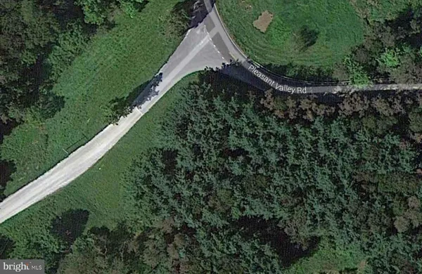 a view of a lush green forest