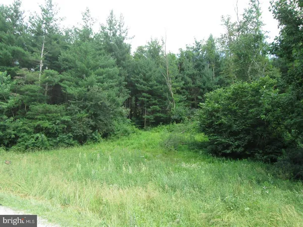 a view of a park