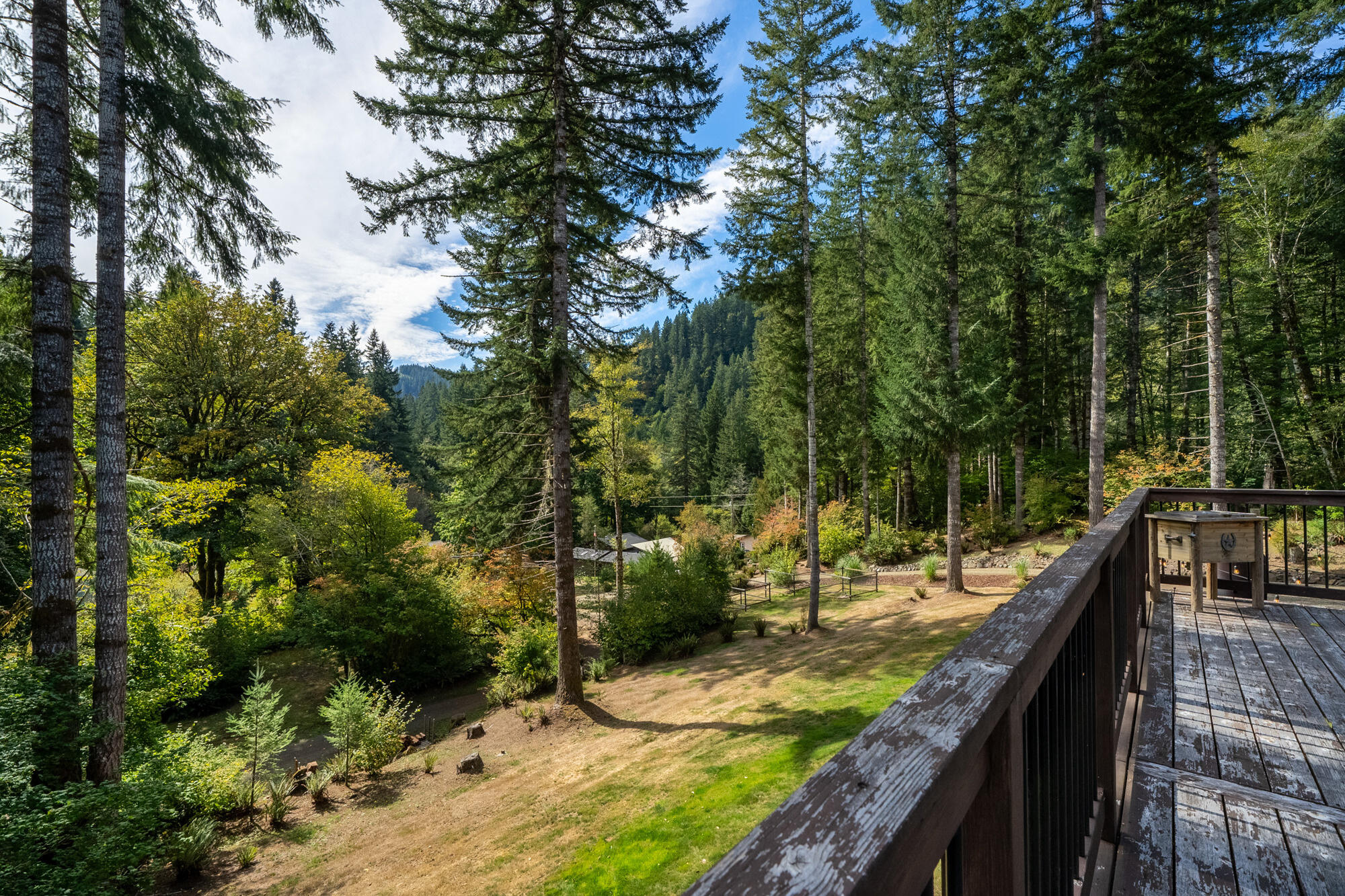 42520 Testament Creek Road Beaver, OR 97108 - Photo 50 of 62 41_dsc08226-hdr