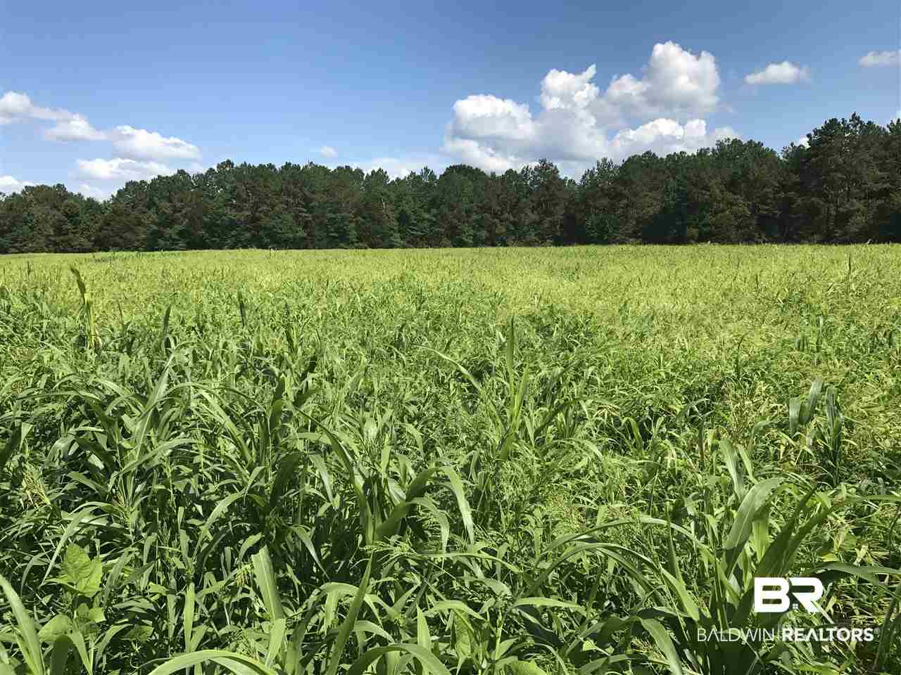 1478 Ridge Road Greenville, AL 36037 - Photo 16 of 50