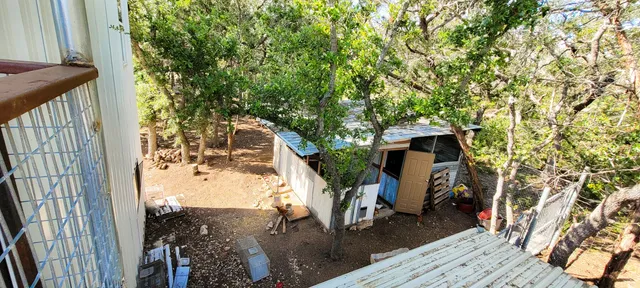 a view of a yard with a trees
