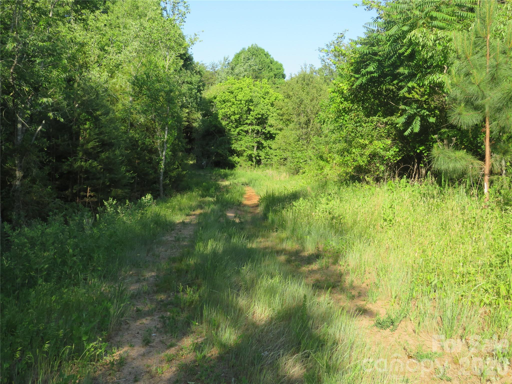 262 Flat Rock Road Forest City, NC 28043 - Photo 26 of 41