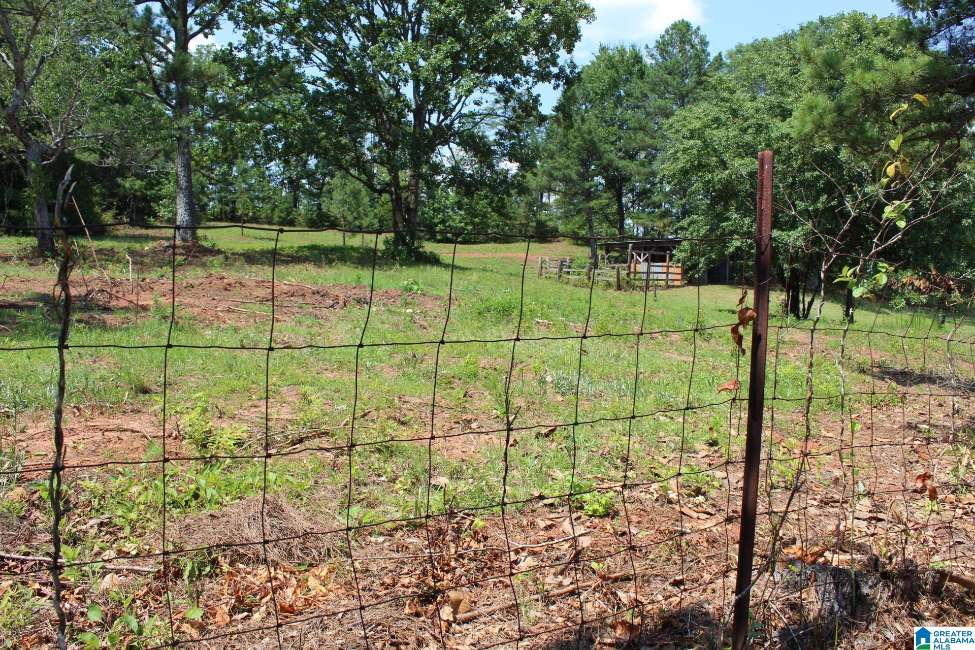 473 Fosters Road Lineville, AL 36266 - Photo 53 of 62