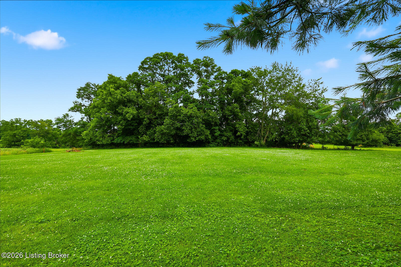 2666 Waddy Road Waddy, KY 40076 - Photo 11 of 67 2666 Waddy Rd (17 of 73)