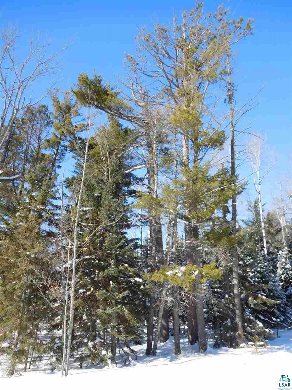 87740 West Road Herbster, WI 54844 - Photo 12 of 20 Gallery Image 12