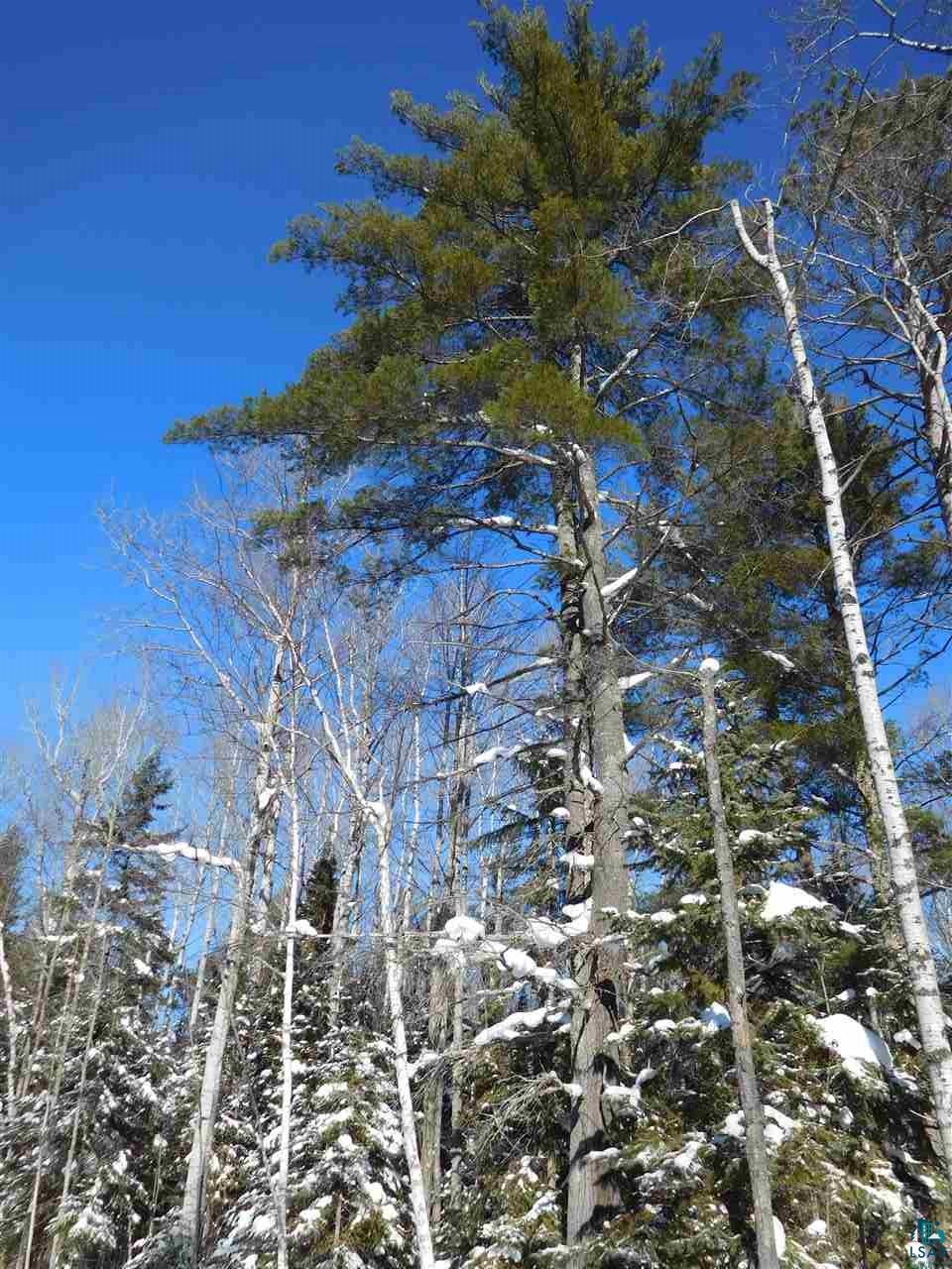 87740 West Road Herbster, WI 54844 - Photo 14 of 20 Gallery Image 14
