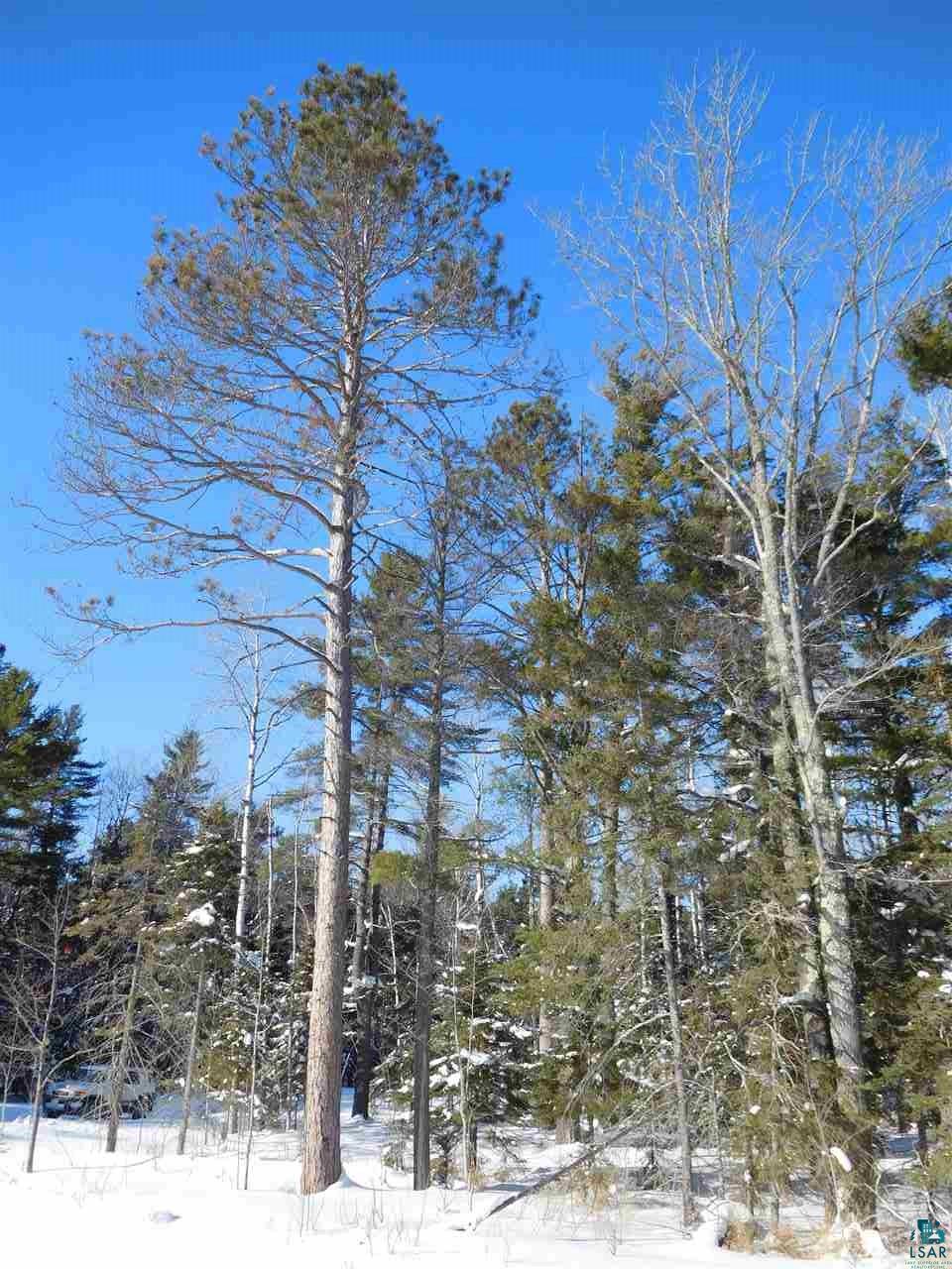 87740 West Road Herbster, WI 54844 - Photo 10 of 20 Gallery Image 10