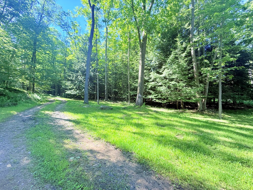 132 Hemlock Lane Rochester Mills, PA 15771 - Photo 24 of 24