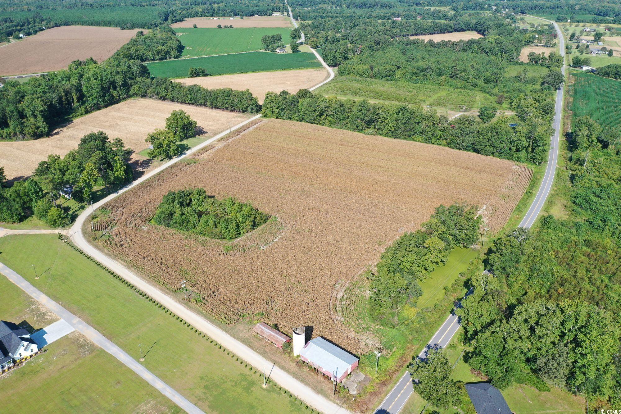 Tbd Red Barn Tr Tbd Red Barn Tr Scranton, SC 29591 - Photo 2 of 10