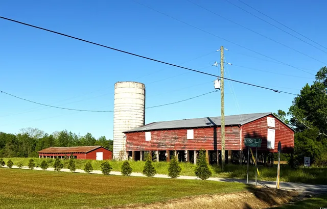 $147,500 | Red Barn Tract Red Barn Tract Borkowitz Road, Scranton, SC 29591