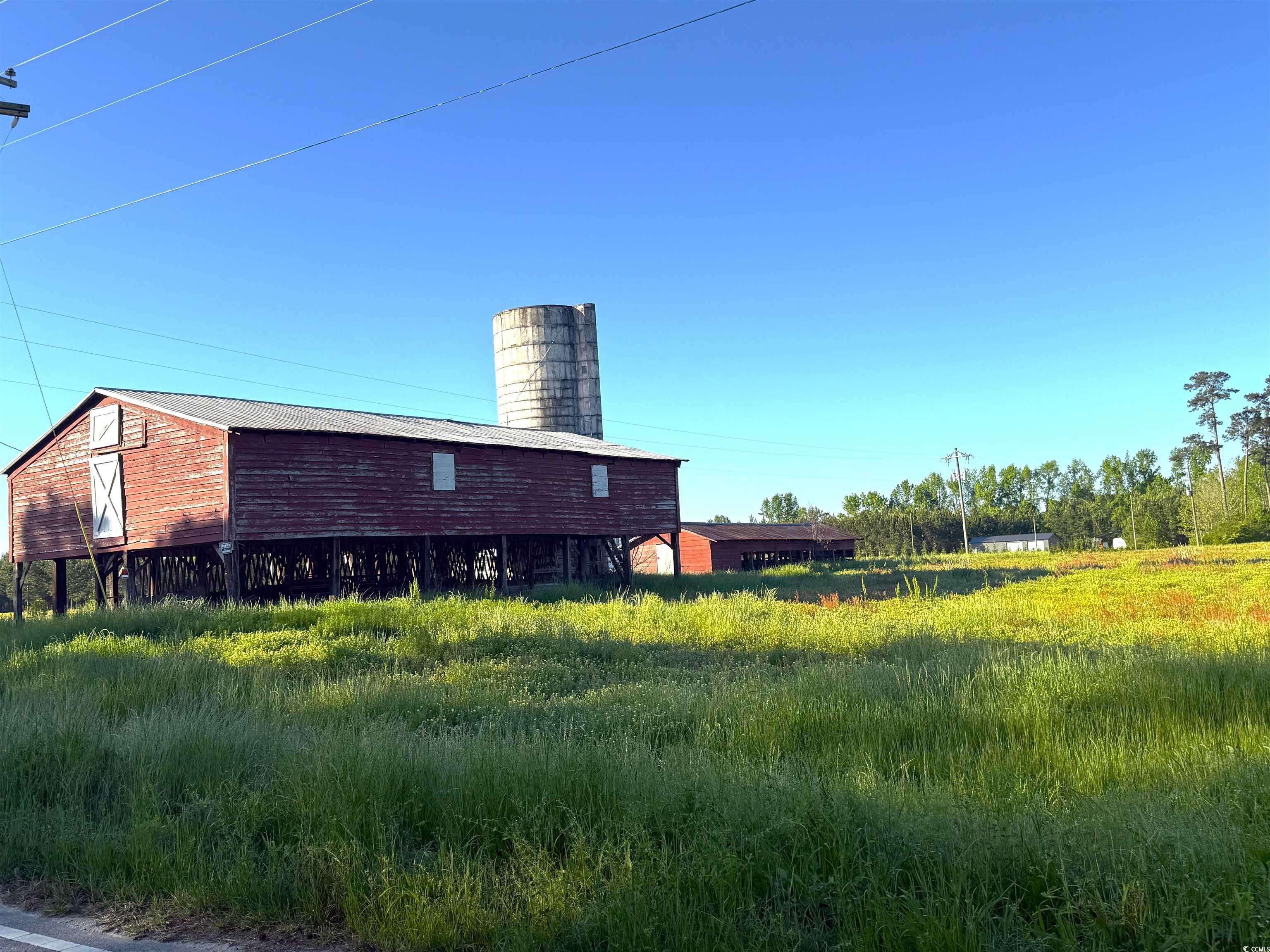 Tbd Red Barn Tr Tbd Red Barn Tr Scranton, SC 29591 - Photo 6 of 10