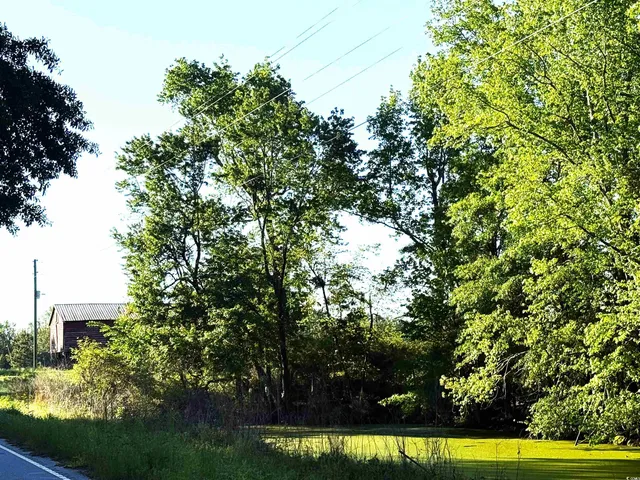 $147,500 | Red Barn Tract Red Barn Tract Borkowitz Road, Scranton, SC 29591