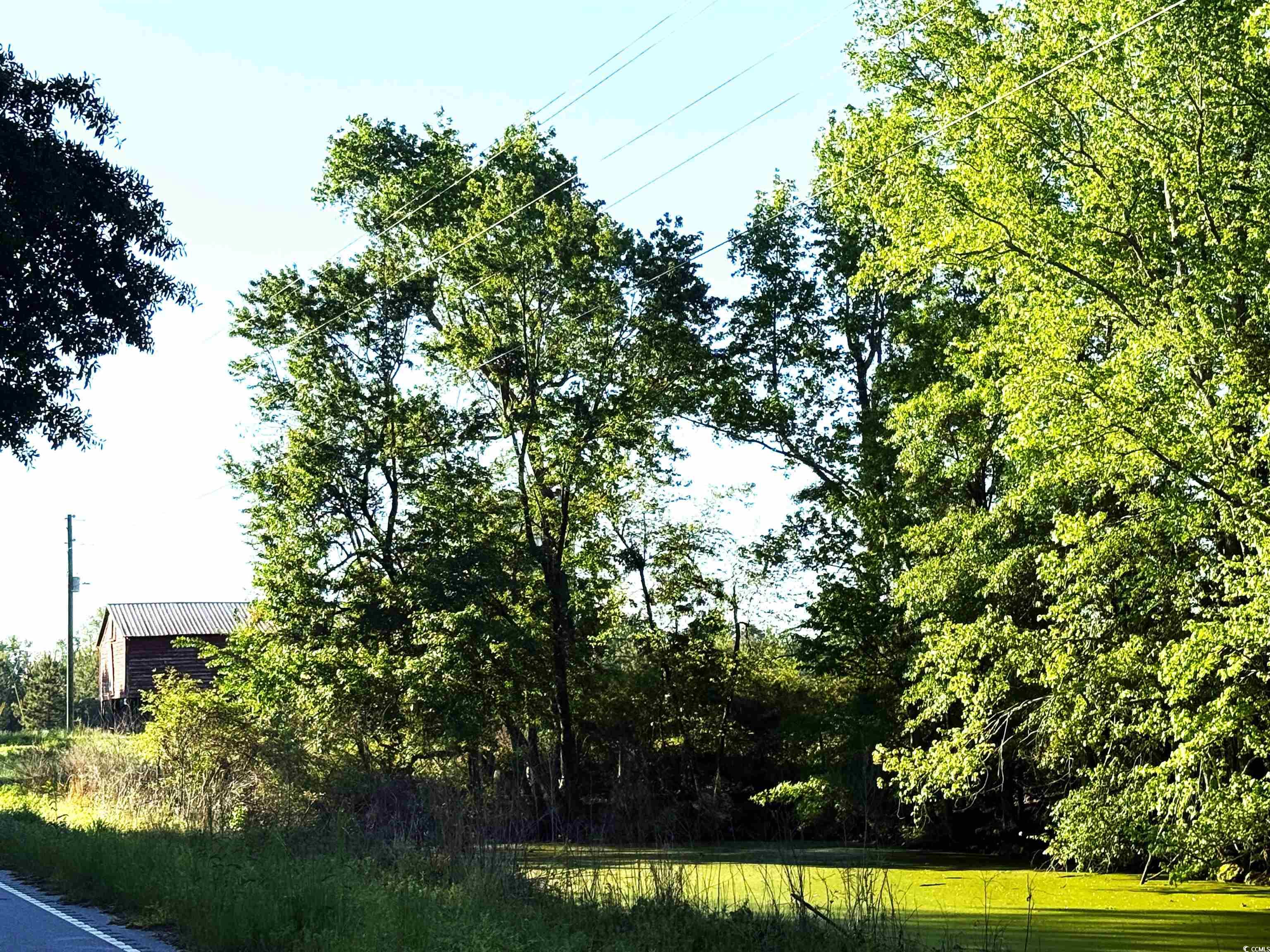 Tbd Red Barn Tr Tbd Red Barn Tr Scranton, SC 29591 - Photo 9 of 10