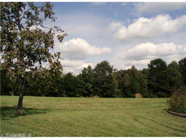 2054 Cullen Road Gibsonville, NC 27249 - Photo 8 of 16 Yard/Garden.