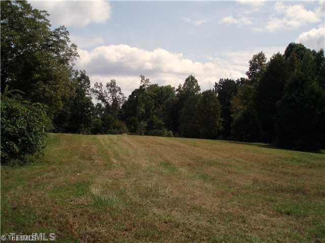 2054 Cullen Road Gibsonville, NC 27249 - Photo 9 of 16 Yard/Garden.