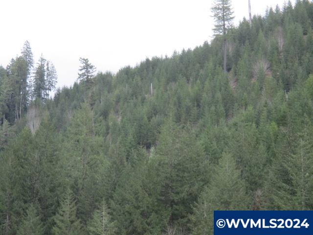 0 Rocky Top Road Sweet Home, OR 97386 - Photo 4 of 14
