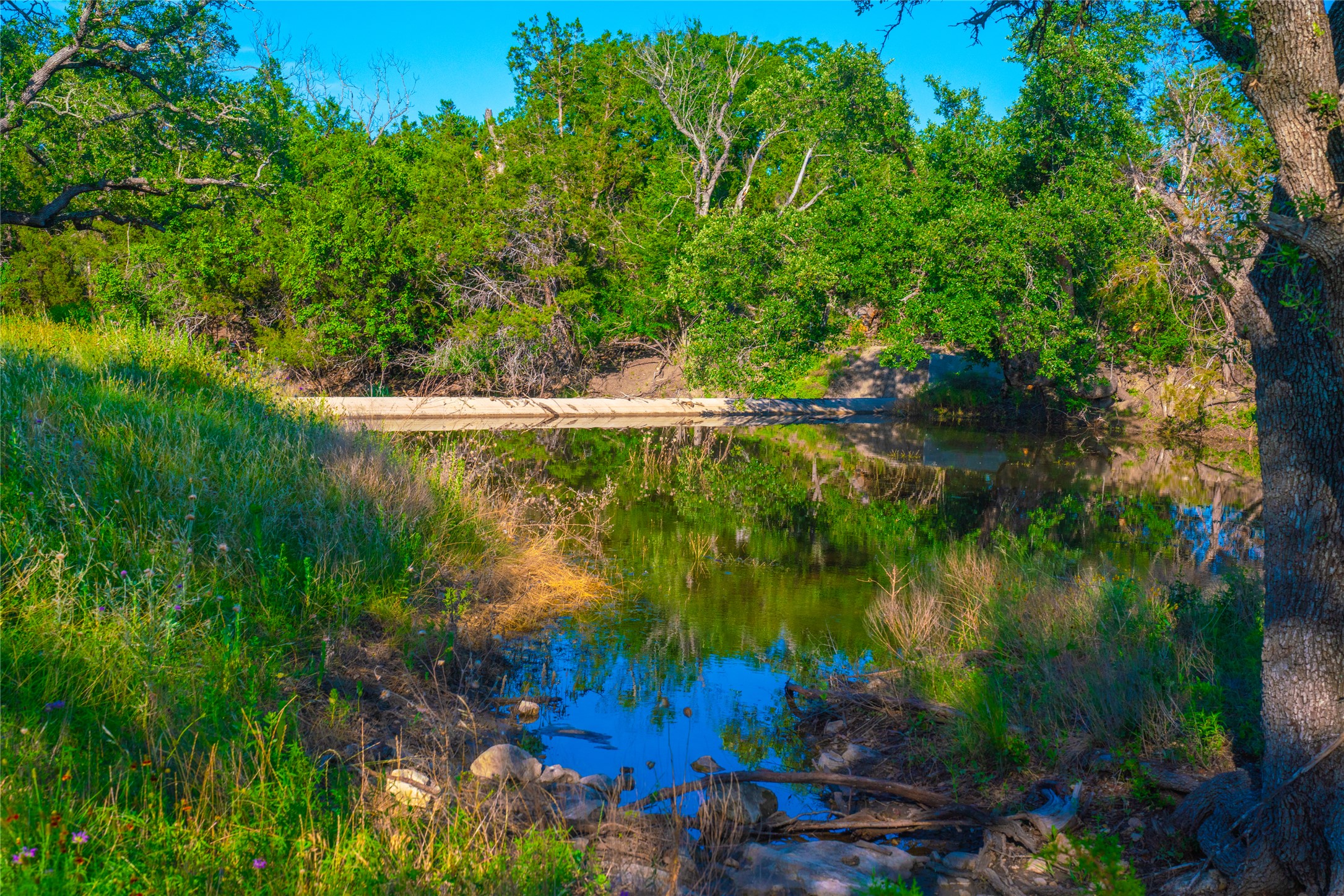 0 Creekside Ranch Johnson City, TX 78636 - Photo 6 of 14 Natural waterfront setting offers serene views, surrounded by lush vegetation and mature trees.