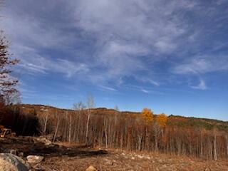 0 Ridgeview Road Harrison, ME 04040 - Photo 22 of 22 IMG_5433