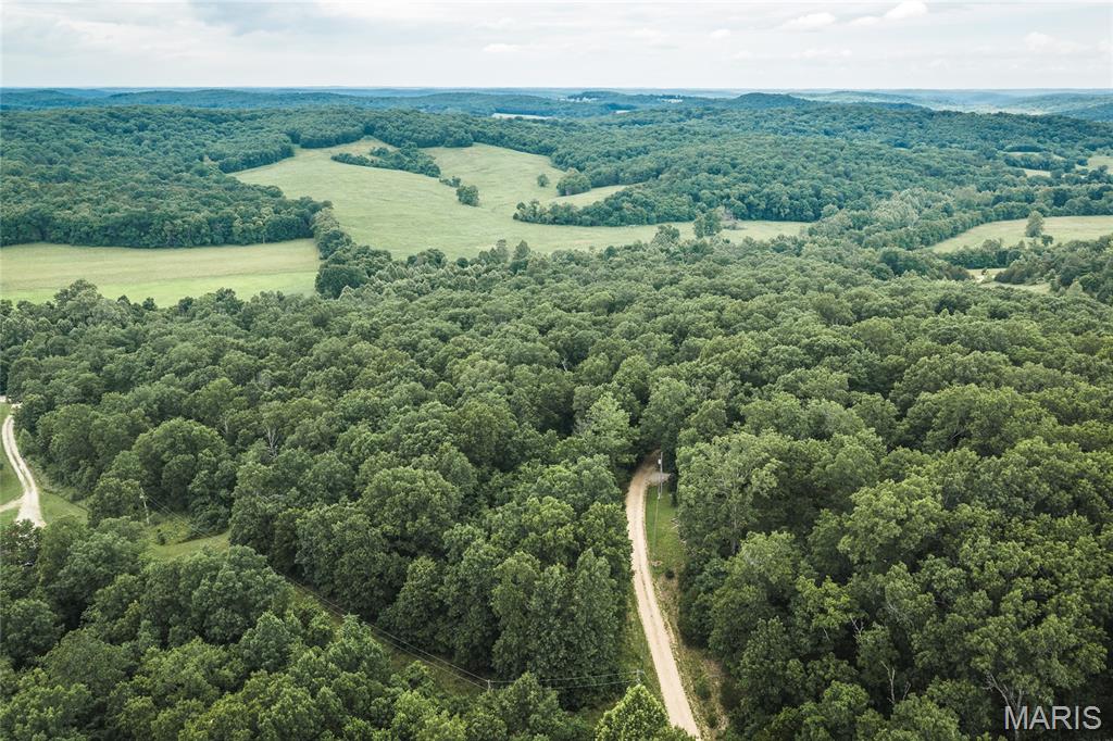 275 Oak Ridge Road Bourbon, MO 65441 - Photo 4 of 13