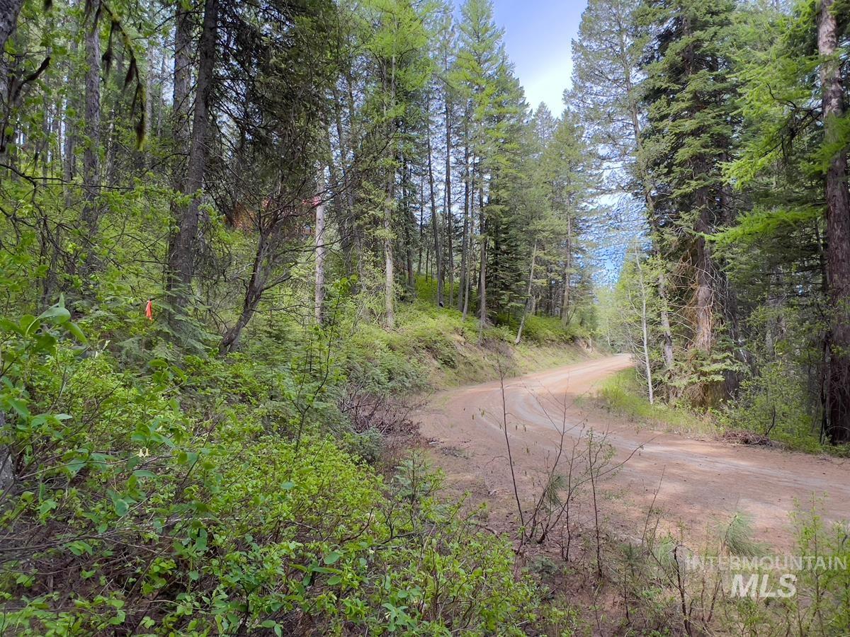 45 Landale Lane Cascade, ID 83611 - Photo 1 of 15
