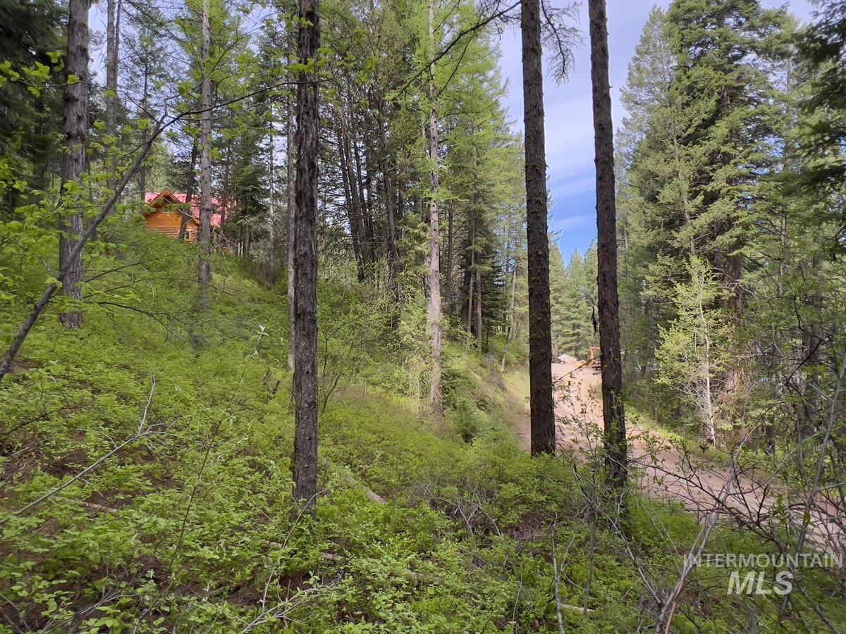 45 Landale Lane Cascade, ID 83611 - Photo 11 of 15