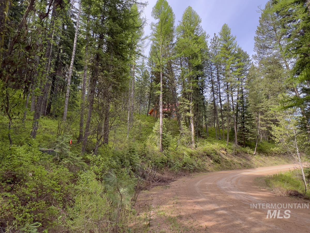 45 Landale Lane Cascade, ID 83611 - Photo 3 of 15