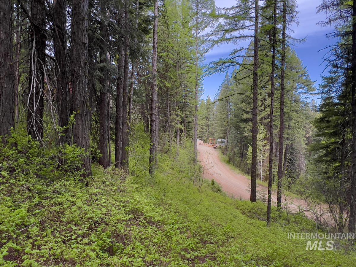 45 Landale Lane Cascade, ID 83611 - Photo 5 of 15
